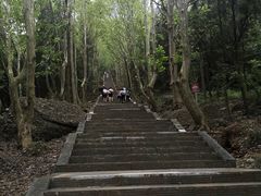 -窦圌山风景区