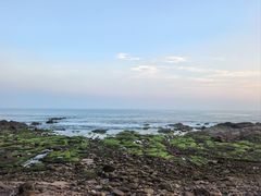 -青岛海景花园大酒店