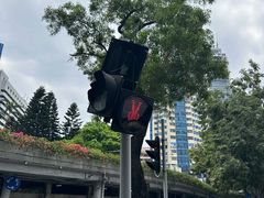 -新大新(东山广场店)