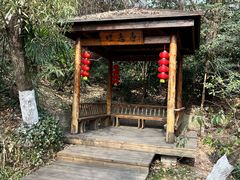 -天目湖山水园