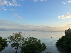 -深圳湾公园(南山区)