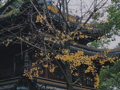-西园戒幢律寺
