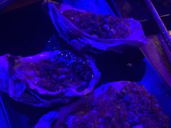 -贝贝龙虾·音乐餐厅(昌平东关店)