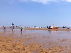 -巧克力渔家.小船海鲜胶东菜(万平口店)