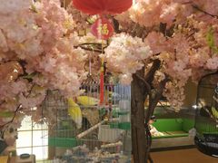 -汤泉良子(金源店)