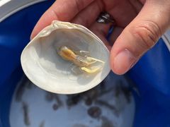 -东戴河风景区-止锚湾