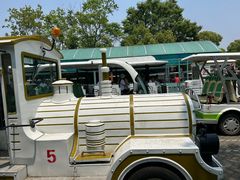 -上海海湾国家森林公园