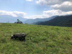 -硗碛藏寨·神木垒景区