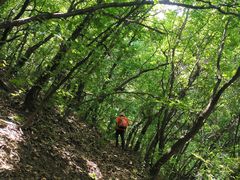 -云岫谷游猎自然风景区