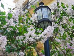 -北京张裕爱斐堡酒庄