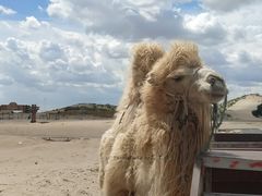 -库伦旗银沙湾旅游景区