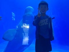 -多彩贵州城极地海洋世界