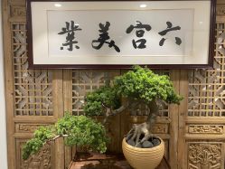 -六宫Spa女子养护中心