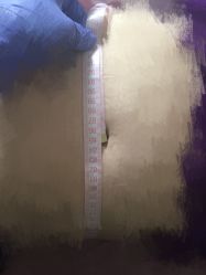 -九公主·美肤美体私人订制管理