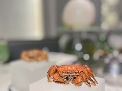 -汤城·料青山