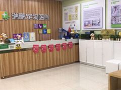 -瑞鹏宠物医院·骨科·猫科·内科(第一中心)