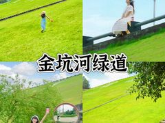 -长洲岛