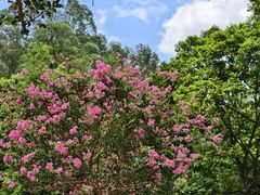 -水濂山森林公园