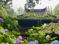 -虎跑公园