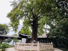 -常熟方塔园