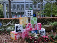 -上海共青森林公园