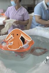 -禧月荟S月子中心(侨城店)