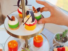 -上海明天广场JW万豪酒店