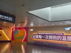 -上海浦东国际机场-T2航站楼