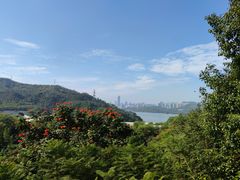 -深圳仙湖植物园