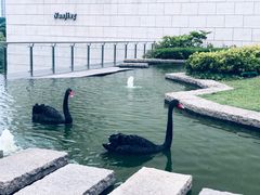 -行者书屋大堂吧 ·下午茶(南京圣和府邸酒店)