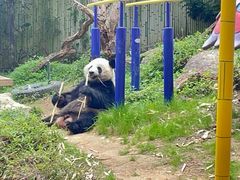 -广州长隆野生动物世界