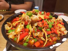 火爆仔姜鱼肚-成都吃客(九眼桥店)