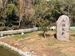-杭州野生动物世界