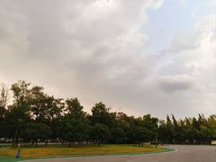 -微山湖红荷湿地景区