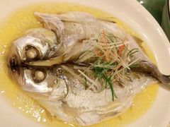 -中国饭店-餐厅