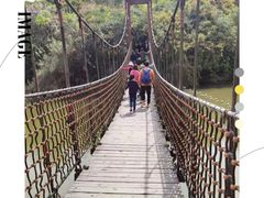 -上海吴淞炮台湾国家湿地公园