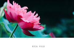 -南京工程学院(江宁校区)