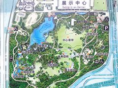 -海淀公园