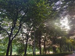 -广东花都湖国家湿地公园