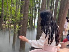 -东湖落雁景区