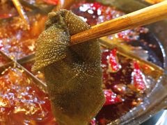 铜元屠场鲜毛肚-铜元老码头鳝鱼火锅