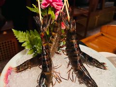 -禄婶鸡煲·打边炉