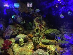 -上海海洋水族馆-停车场