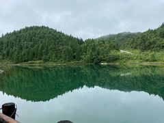 -武陵山森林公园