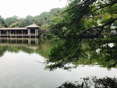 -西湖外事游船(花港观鱼码头)