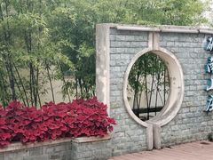 -上海市保健医疗中心