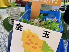 -鹏欣水游城