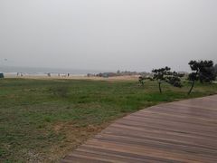 -大锅强·蒸海鲜青岛菜(吾悦广场店)