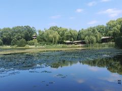 -北坞公园