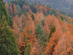 -山王坪喀斯特国家生态公园